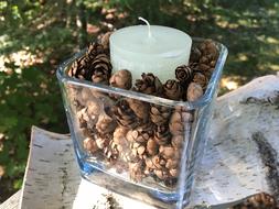 hemlock cones for decor