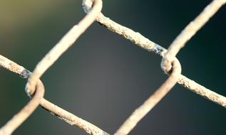 chain-link fence, detail, close up