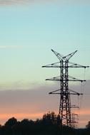 trees near high voltage lines twilight