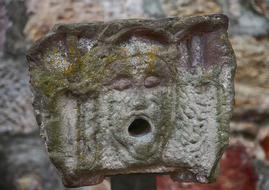 Lion Head on Stone close-up