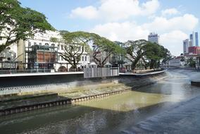 River city trees