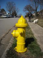 Hydrant on Street