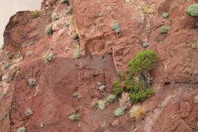 red rock on the shore of hoover dam, nevada