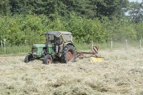 tractor on haymaking on a sunny day