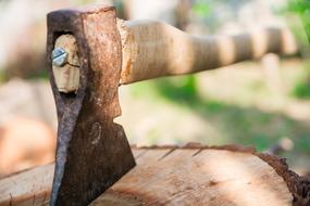 ax on a tree stump on a blurred background