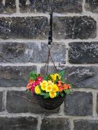 a pot of flowers near the wall