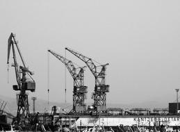 Cranes Construction black and white