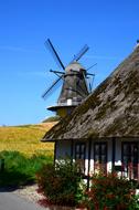 Beautiful house and mill, among the colorful field, at blue sky background in Denmark