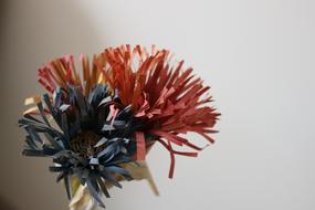 dry plants as a craft