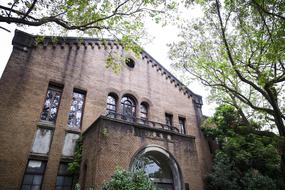 Building Window Brick trees