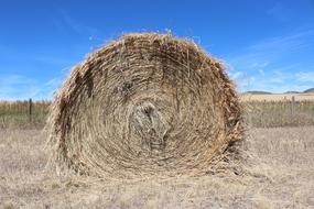 Hay Agriculture on Farm