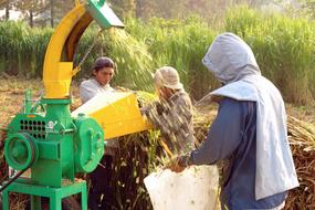 People, working on the colorful field, with the machine