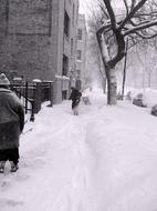 winter in illinois in black and white photo