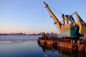 swimming crane on the water at dusk