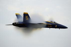 Blue Angels Navy Precision fighter