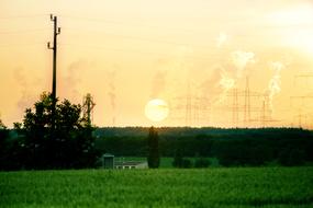 Fields with green grass on the background of electric poles