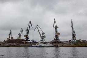 Landscape with the cranes, on the shore of the river, under the cloudy sky