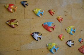 colorful fish as decoration on the wall