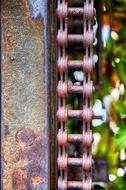 rusty chain close up with blurred background