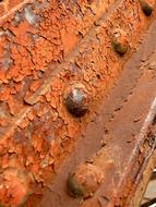 Rust Oxidation Screw close-up