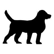 dog drawing silhouette