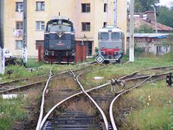 Colorful trains on the railroad, with the colorful grass, near the buildings