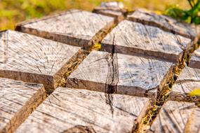section of wood close-up on blurred background