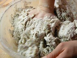 Hands of the person, kneading the dough, in the bowl, in movement