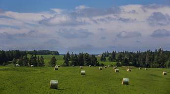 Landscape of Bales Of Hay on meadow
