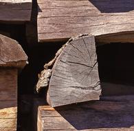 sawn wood close-up