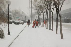 Workers, shoveling snow in the beautiful, snowy park with trees in winter