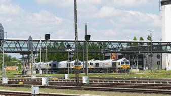 Beautiful landscape with the train, on the railway, among the green plants