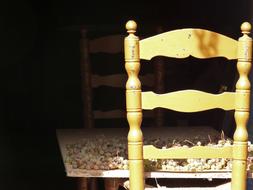 Raisins Drying Grape and chair