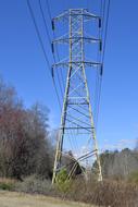 Electricity pylon, with the wires, among the beautiful and colorful plants, at blue sky on background