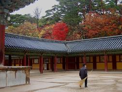 Worker, in the beautiful temple, among the colorful trees, in the South Korea