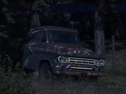 Old Dodge Truck in forest