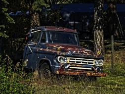 Old, rusty Dodge truck on the beautiful and colorful field with trees
