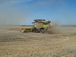 harvesting cereals in the field on a sunny day
