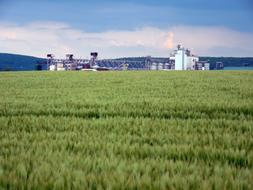 factory at the end of a field with green plants