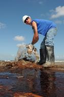 Oil Cleanup on beach, Worker with plastic bag