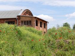 Factory Old Abandoned and meadow