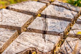 wood texture with cracks close up