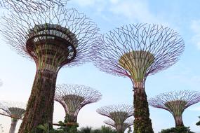 Supertrees as a creative design in architecture