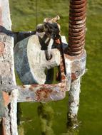 old Raft Cap Mechanism