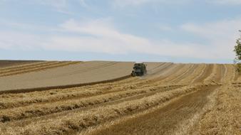 harvesting on a field on a sunny day