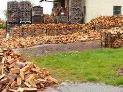 Wood Firewood Growing
