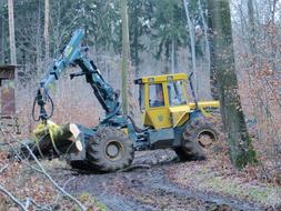 tractor in the forest near the trees