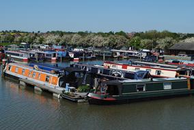 Colorful barges in the marina of the river, with the green tree