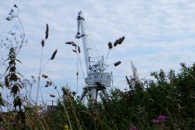 Landscape with the port crane, among the colorful grass, under the blue sky with white clouds