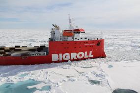 Red and white Bigroll Barentsz among the white ice on beautiful landscape